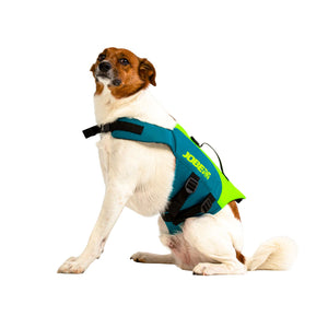 Pet vest Lime Teal