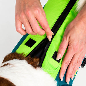 Pet vest Lime Teal
