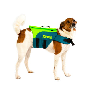 Pet vest Lime Teal