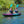 Croft Inflatable Kayak Sunset Purple